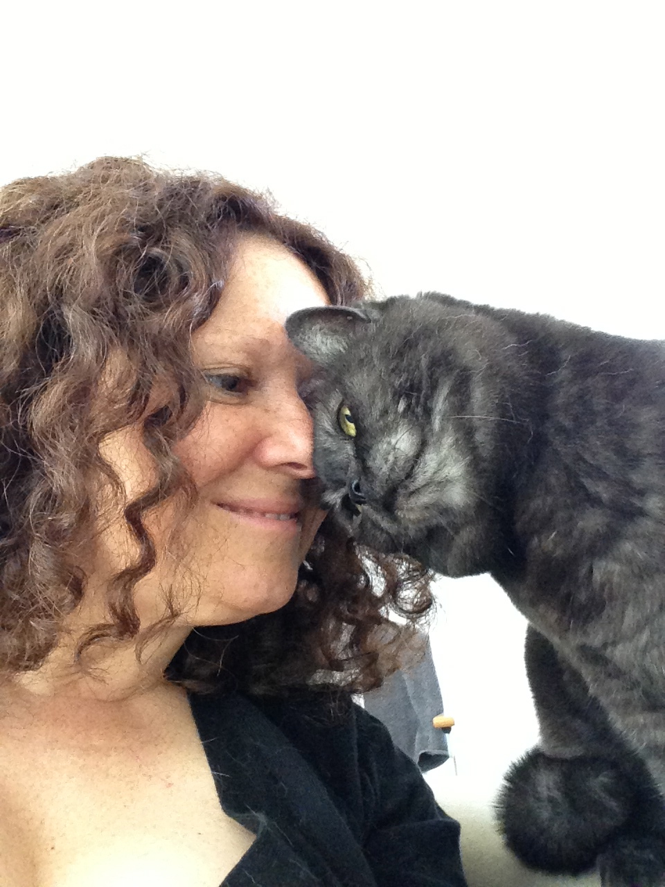 An Interview with Anita Kelsey, the Cat Behaviourist ProtectaPet