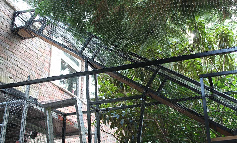 2017 Design Developments Catification and Outdoor Enrichment ProtectaPet