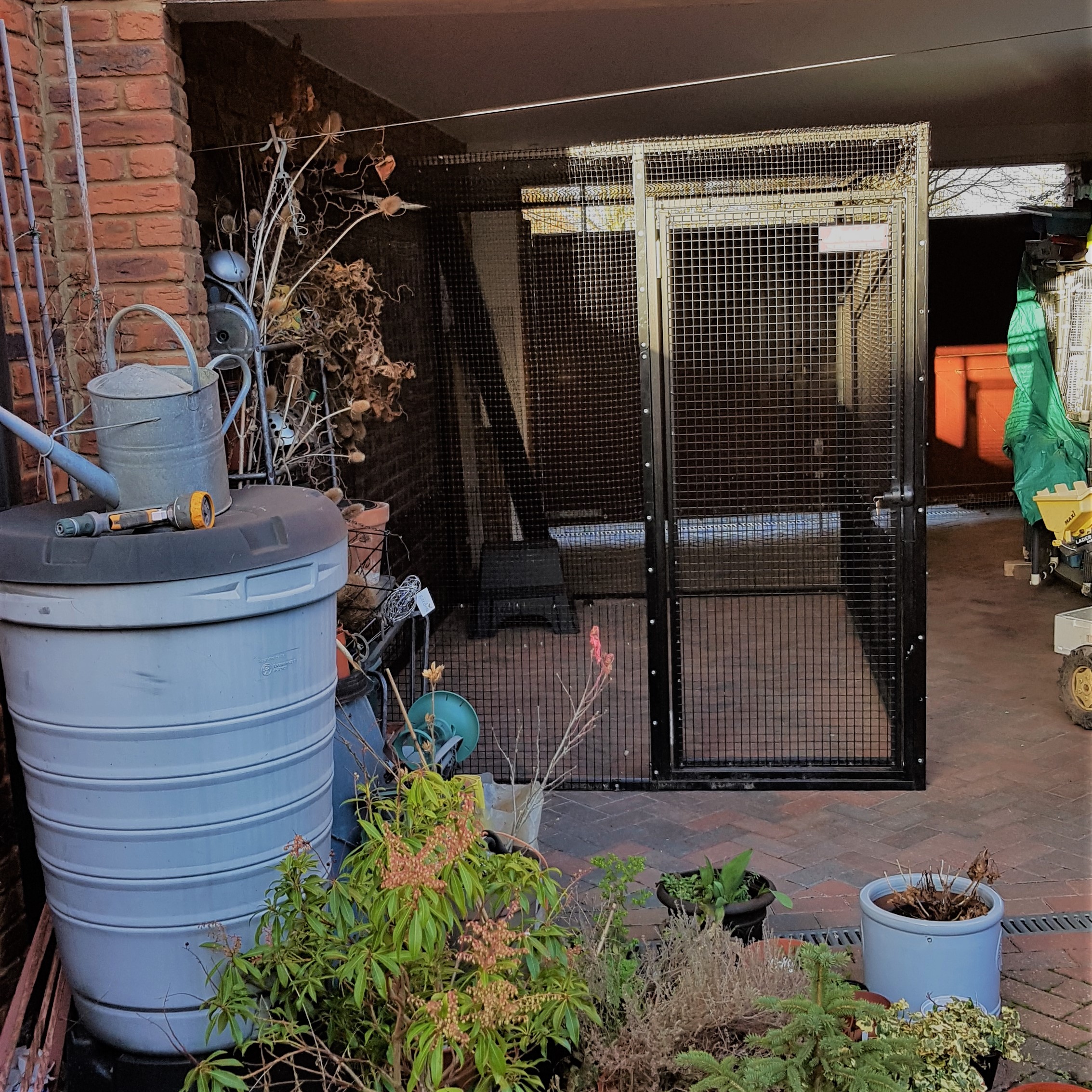 ProtectaPet Donate £2k Cat Enclosure to Local Rescue ProtectaPet