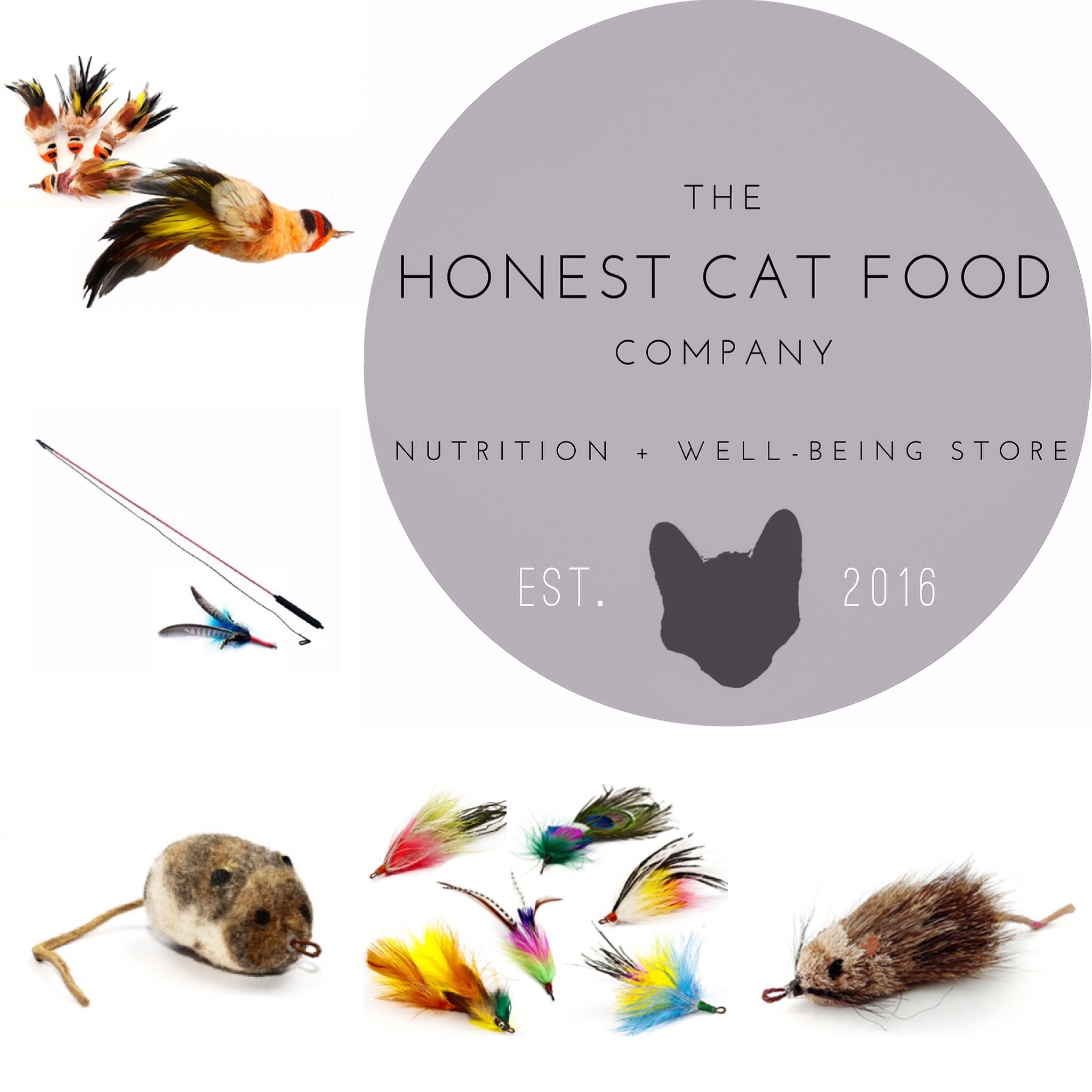 Introducing The Honest Cat Food Company ProtectaPet