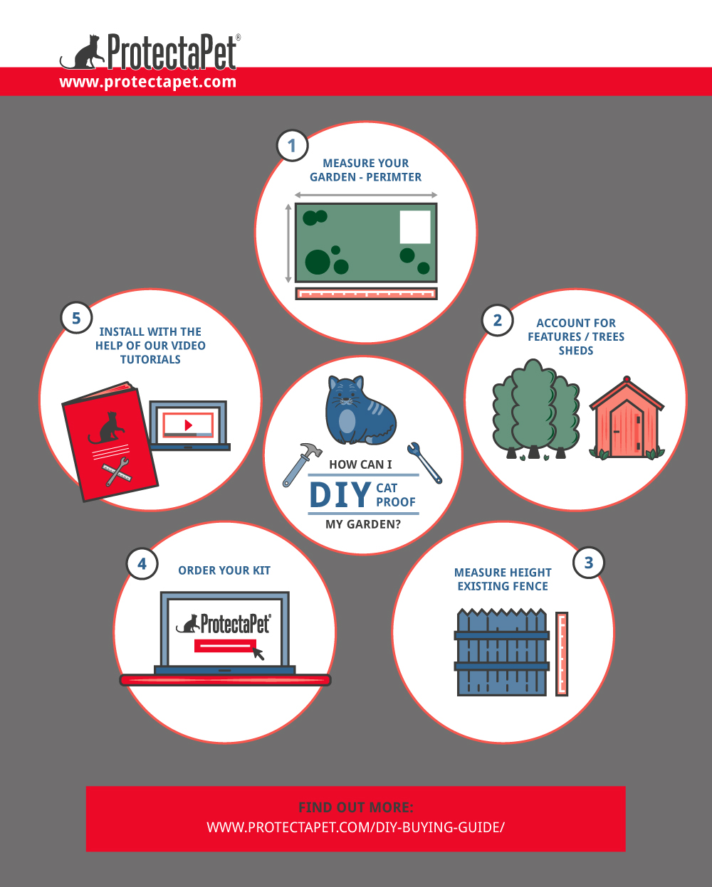 How Can I Cat Proof My Garden? ProtectaPet