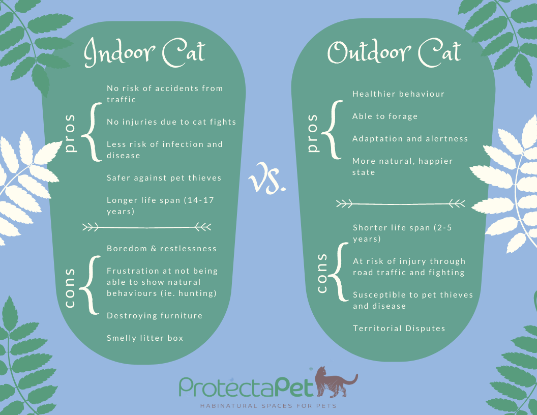 Is it Cruel to Keep my Cat Indoors? ProtectaPet