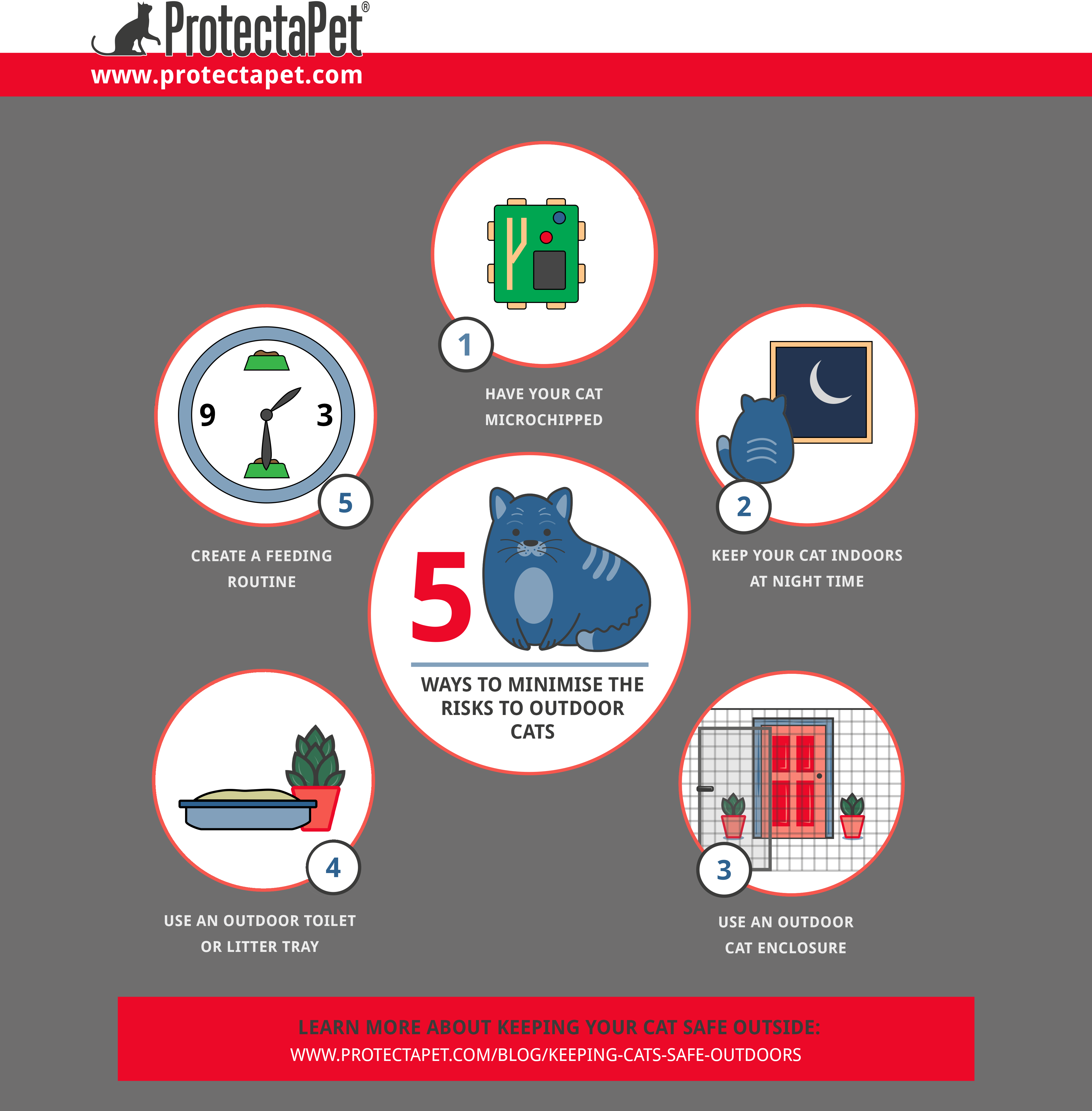 5 Ways to Minimise the Risks to Outdoor Cats ProtectaPet