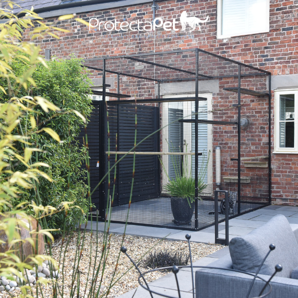 3 Things to Do with Your Cat During Lockdown ProtectaPet