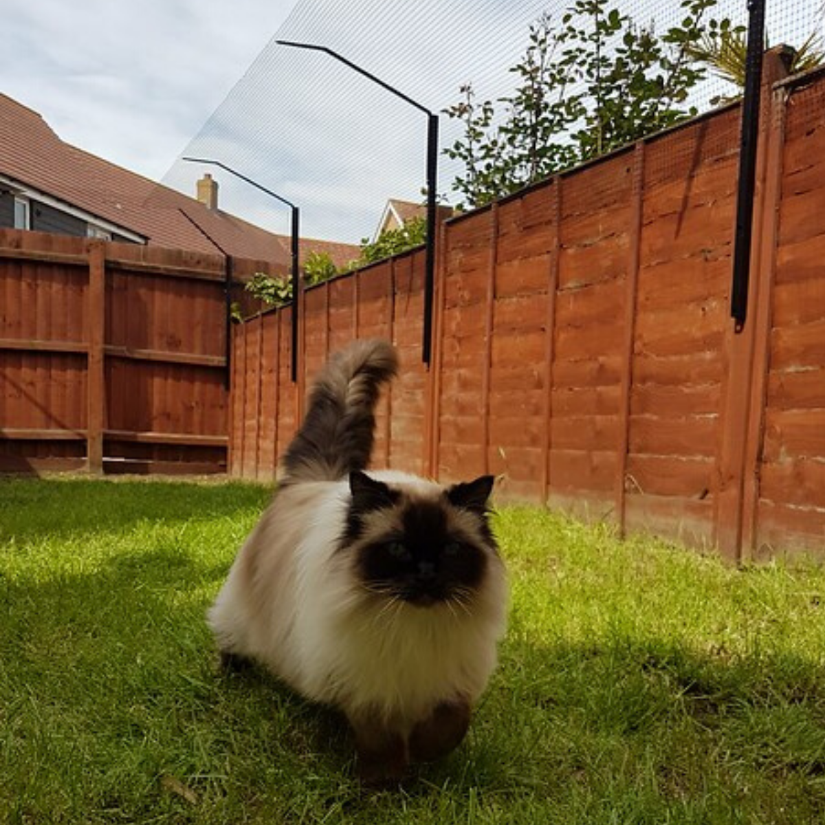 ProtectaPet Cat Fence Extension Barrier