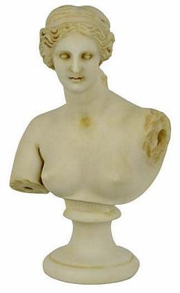 Bust of Aphrodite - Photo Museum Store Company