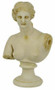 Bust of Aphrodite - Photo Museum Store Company