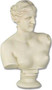 Venus Bust - Photo Museum Store Company