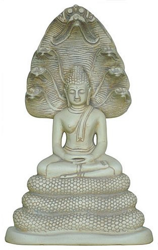 Naga Buddha - Photo Museum Store Company