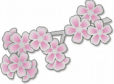 Cherry Blossom Pin - Photo Museum Store Company