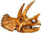 Triceratops - Cretaceous Period - Master's Collection - Dinosaur Fossil Reproduction - Photo Museum Store Company