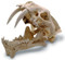 Saber Tooth (Hoplophoneous) Cat Skull with Stand - Photo Museum Store Company