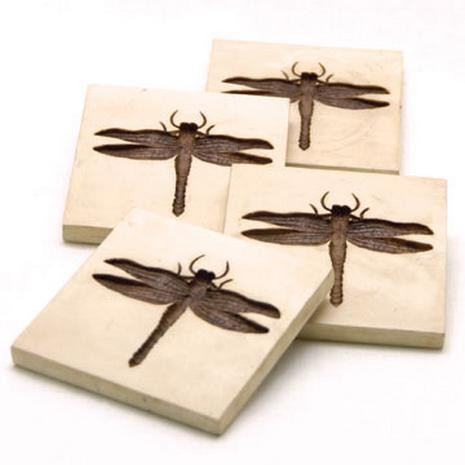 Dragonfly Coasters - Set of Four - Photo Museum Store Company