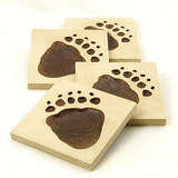 Bear Paw Coasters - Set of Four - Photo Museum Store Company