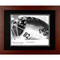 Enola Gay nose - Autographed and Signed by Dutch VanKirk - Photo Museum Store Company