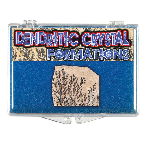 Mineral Collection -Dendritic Crystal - Actual Authentic Specimens - Photo Museum Store Company