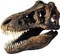 Tyrannosaurus Rex (1/4 Scale Reproduction) End of the Cretaceous Period - Photo Museum Store Company