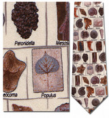 Fossils in Squares with Names Necktie - Museum Store Company Photo