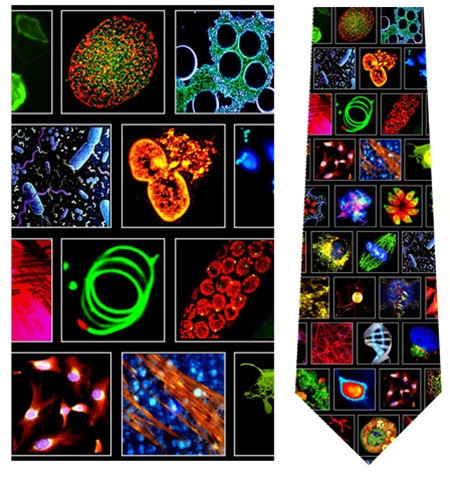 Microbiology Necktie - Museum Store Company Photo