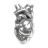Heart Anatomical Jewelry Pendant - Anatomy & Medicine - Museum Store Company Photo