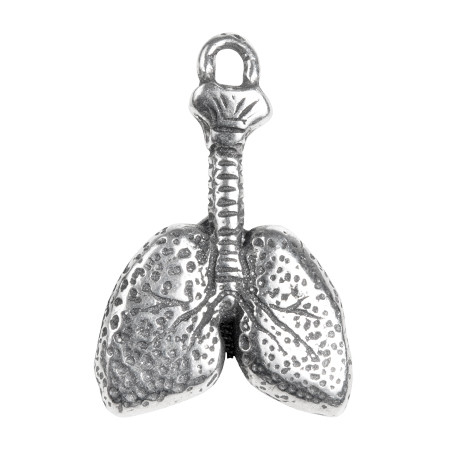 Lungs Anatomical Jewelry Pendant - Anatomy & Medicine - Museum Store Company Photo