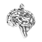 Brain Anatomical Jewelry Pendant - Anatomy & Medicine - Museum Store Company Photo