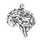 Brain Anatomical Jewelry Pendant - Anatomy & Medicine - Museum Store Company Photo