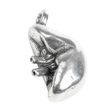 Spleen Anatomical Jewelry Pendant - Anatomy & Medicine - Museum Store Company Photo