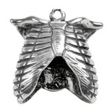 Rib Cage Anatomical Jewelry Pendant - Anatomy & Medicine - Museum Store Company Photo
