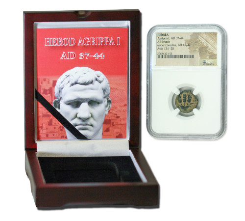 Genuine Agrippa 1st Judaea Bronze Prutah NGC Certified Slab Box (High grade) : Authentic Artifact - Museum Company Photo