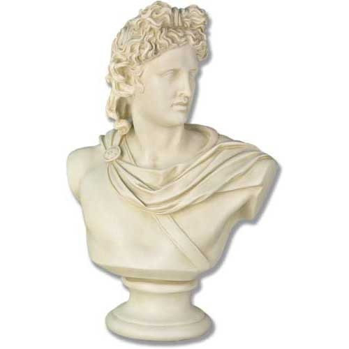 Apollo Belvedere Bust - Museum Replica Collection Photo