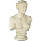 Venus De Milo Bust  - Museum Replica Collection Photo