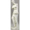 Venus De Milo Statue - Museum Replica Collection Photo