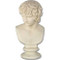 Antinous Bust From Stefano - Museum Replicas Collection Photo