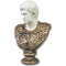 Gaius Julius Caesar Augustus With Armor - Two Tone Bust - Museum Replicas Collection Photo