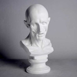 Anatomy Bust - Museum Replicas Collection Photo