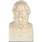 Socrates Bust - Museum Replicas Collection Photo