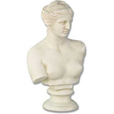 Venus De Milo Bust - Museum Replica Collection Photo