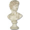 David By Michelangelo Bust - Museum Replicas Collection Photo
