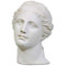 Venus Antiquity Head - Museum Replicas Collection Photo
