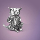 Cat Reading A Book Sterling Silver Pin - Inspirational Jewelry Photo