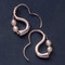 Roman Luxe Sterling Silver Earrings - Inspirational Jewelry Photo