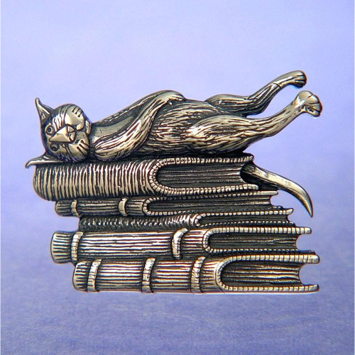 Book Cat Sterling Silver Pin - Inspirational Jewelry Photo