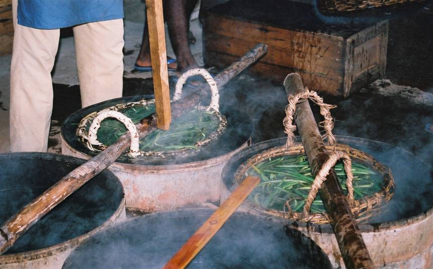 Steaming vanilla beans