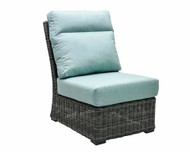 Replacement Cushions for Patio Renaissance Eureka Armless Lounge Chair