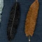 Image 4 Image 4