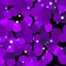 ArtScape 7' Purple Cells Pool Table Cloth