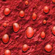 ArtScape 8' Red Drops Pool Table Cloth