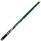 Michigan State University Pool Cue