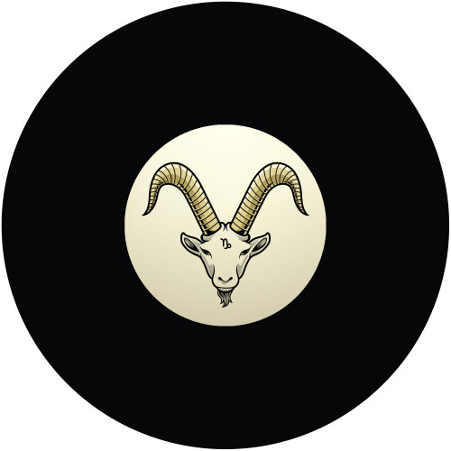 Capricorn Head of the Sea Goat 8 Ball